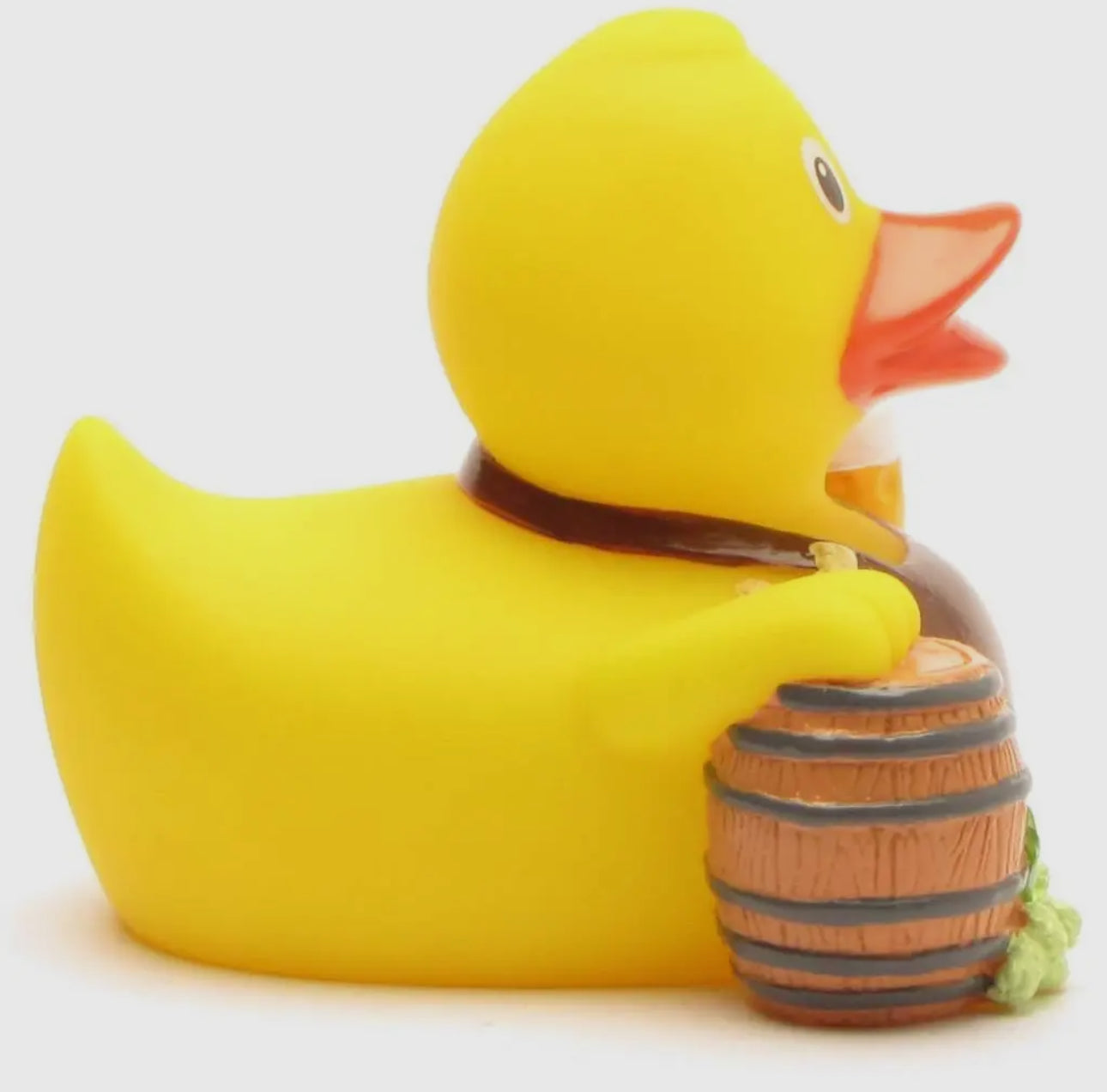 Brewer Duck