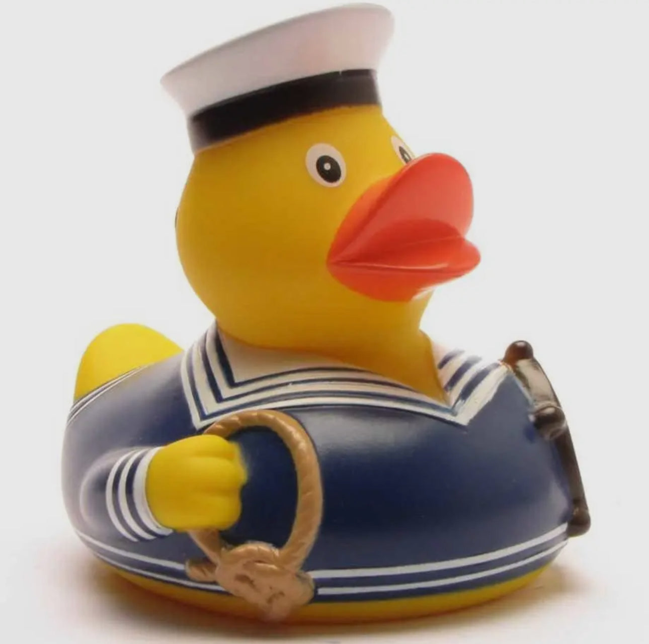 Blue Sailor Duck