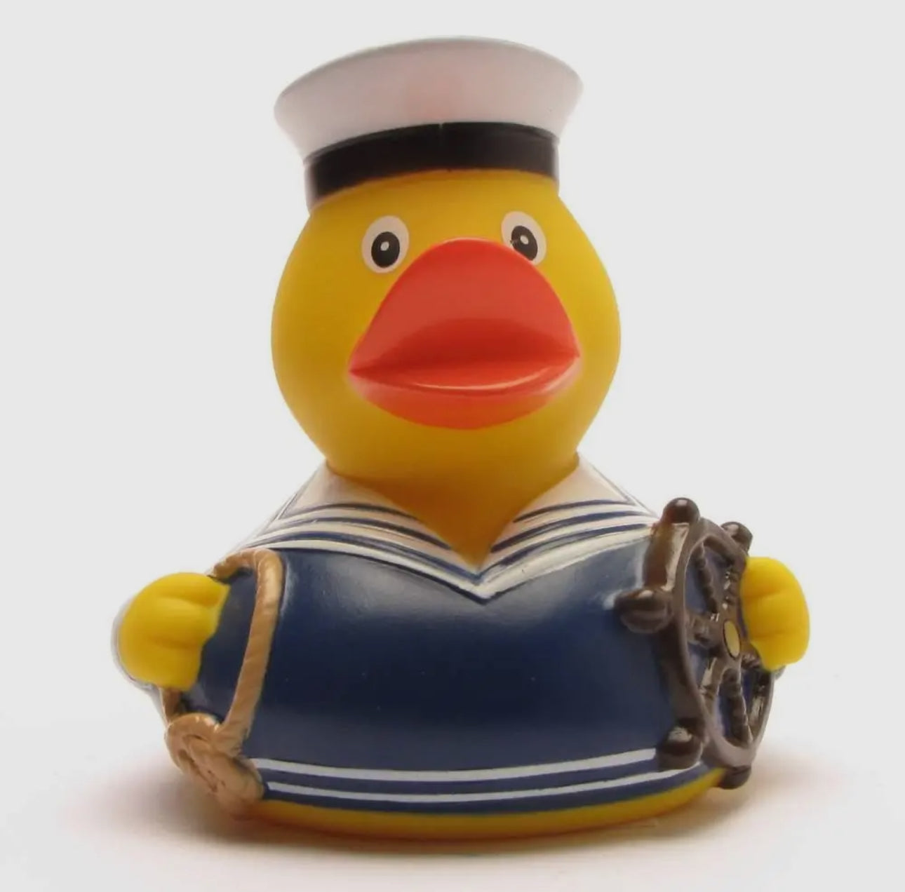 Blue Sailor Duck