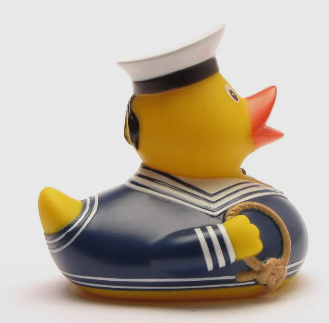 Blue Sailor Duck
