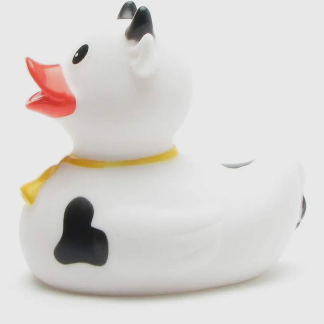 Cow Duck