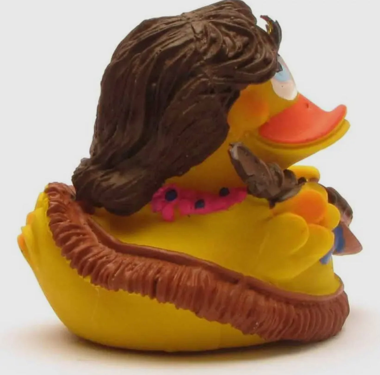 Hawaii Duck