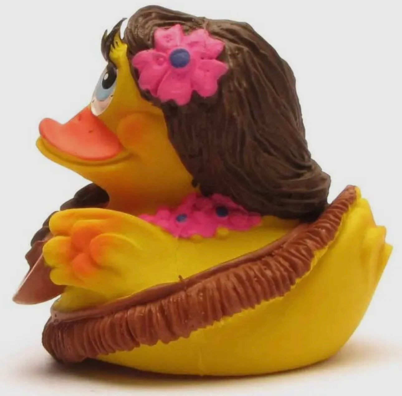 Hawaii Duck