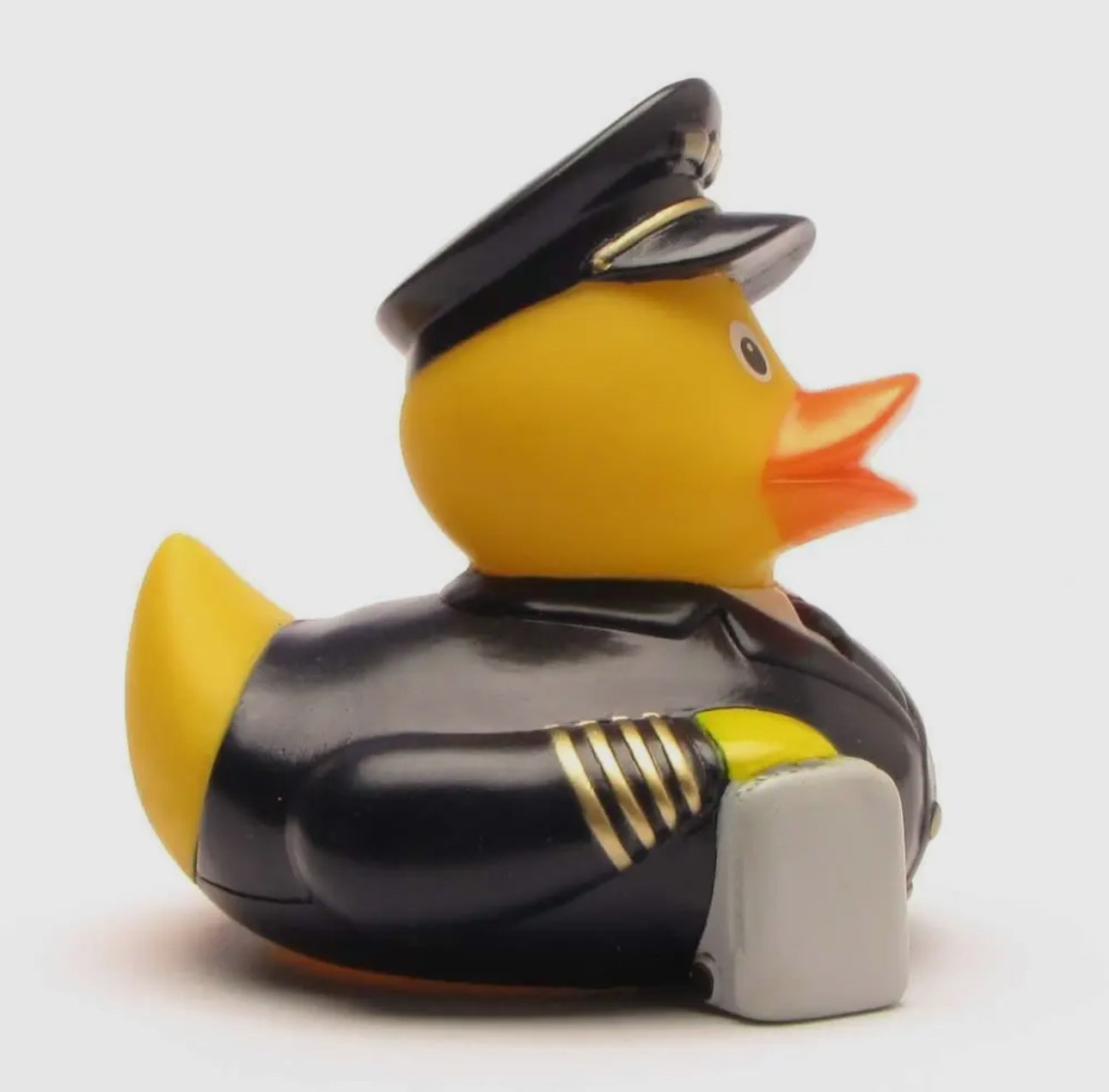 Pilot Duck