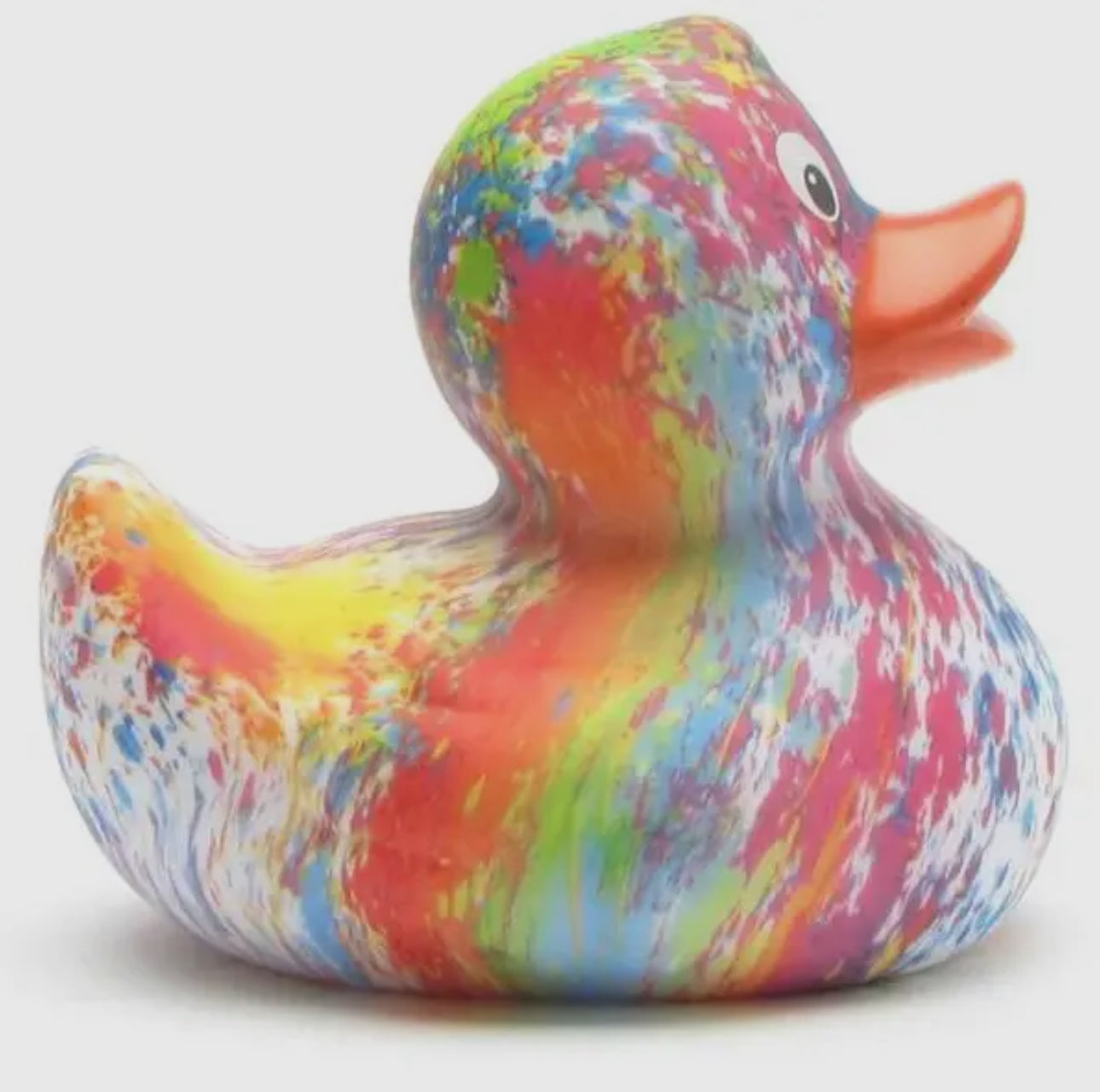 Rainbow Duck