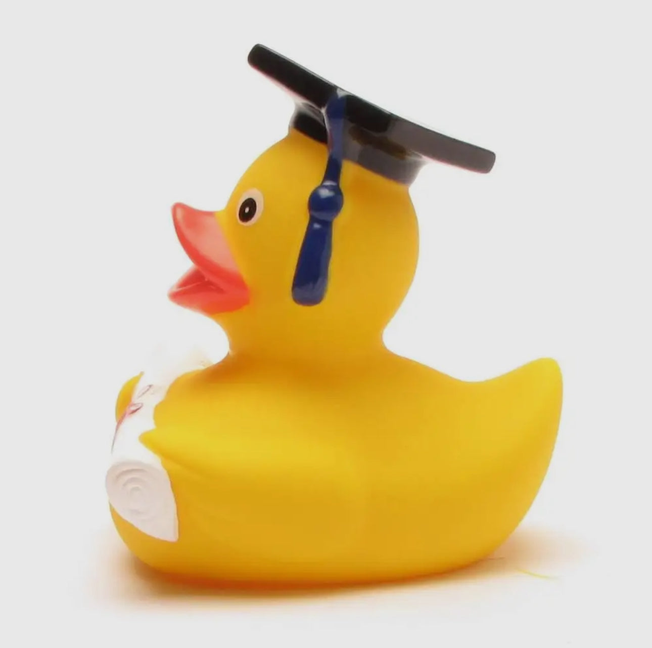 Graduation Duck