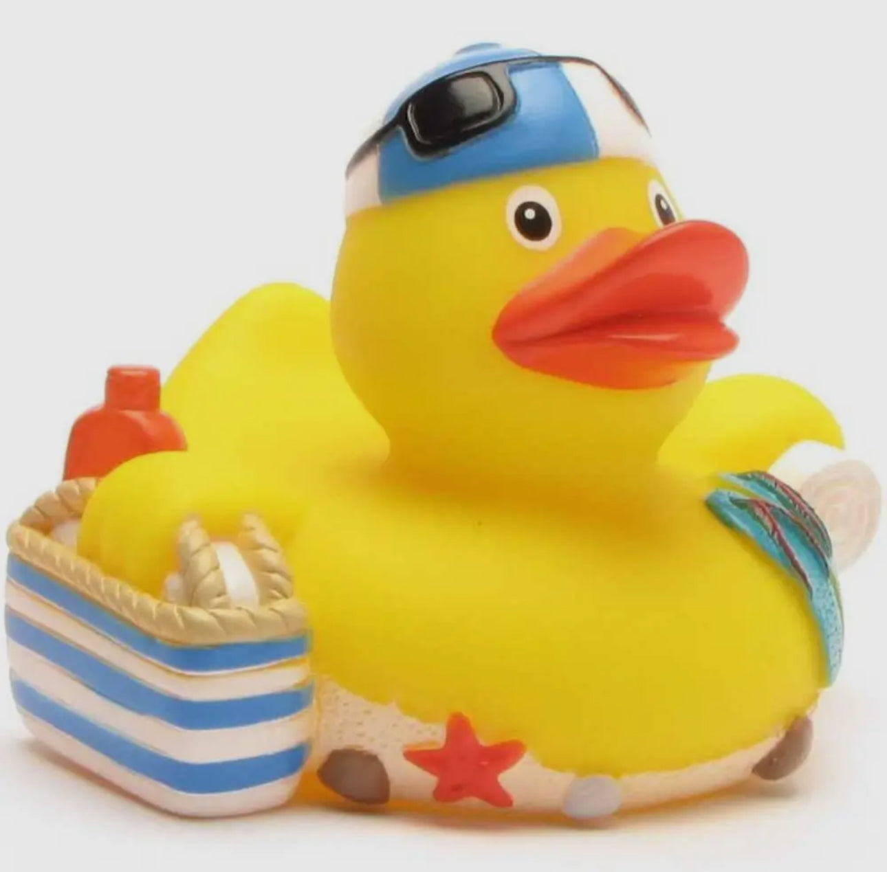 Beach Duck