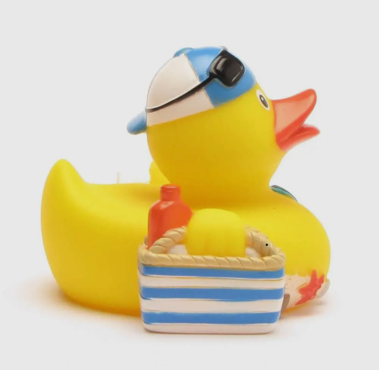 Beach Duck