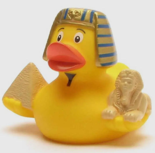 Egypt Duck