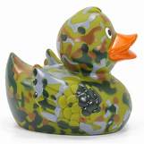 Camo Duck