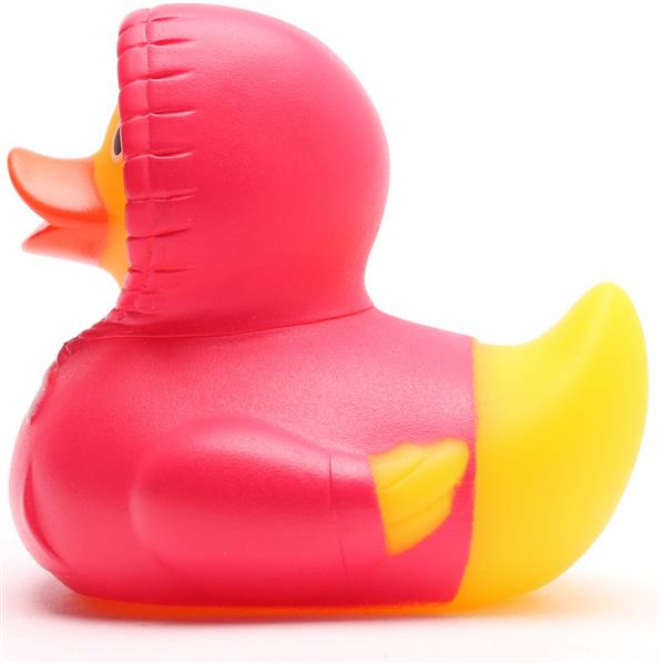 Duck Hoodie (Pink)